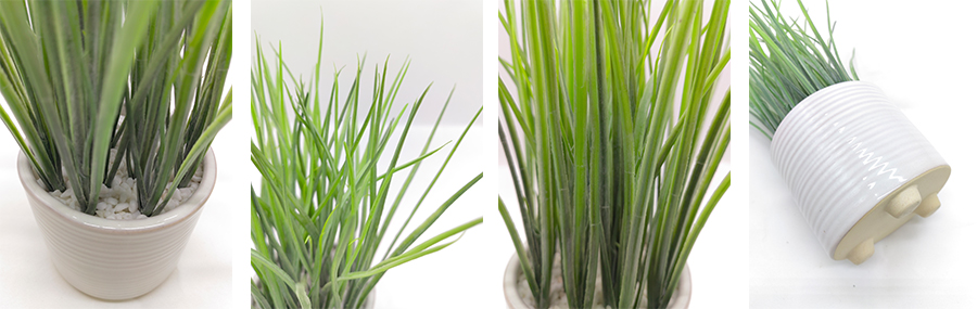 Green Plant In Ceramic Pot