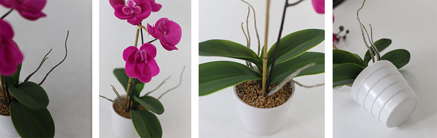 Orchid In Melamine Pot