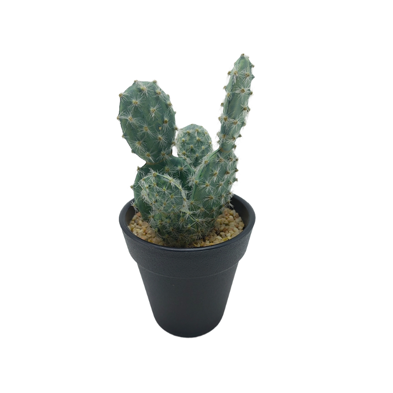 Artificial Cactus in plastic pot