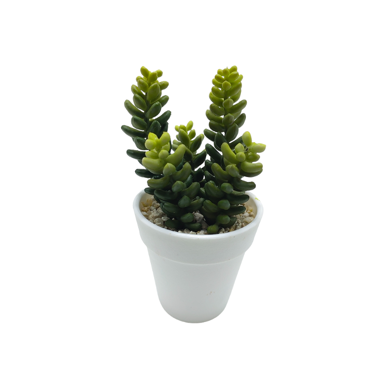 Simulated Succulents Supplier Succulent Plant in Plastic Pot