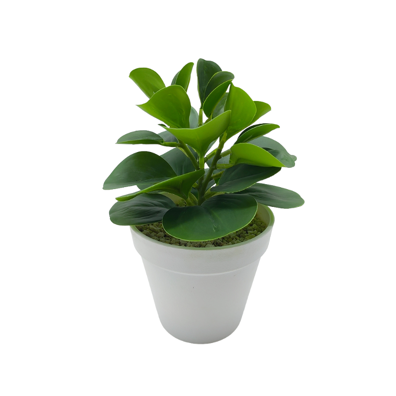 Wholesale Simulated Green Plants in Plastic Pot