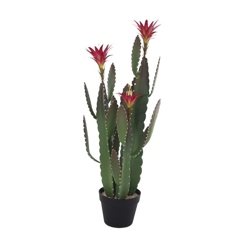 Artificial Cactus with Flower in Plastic Pot