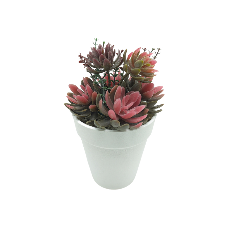 Simulated Green Succulents Garden In Plastic Pot