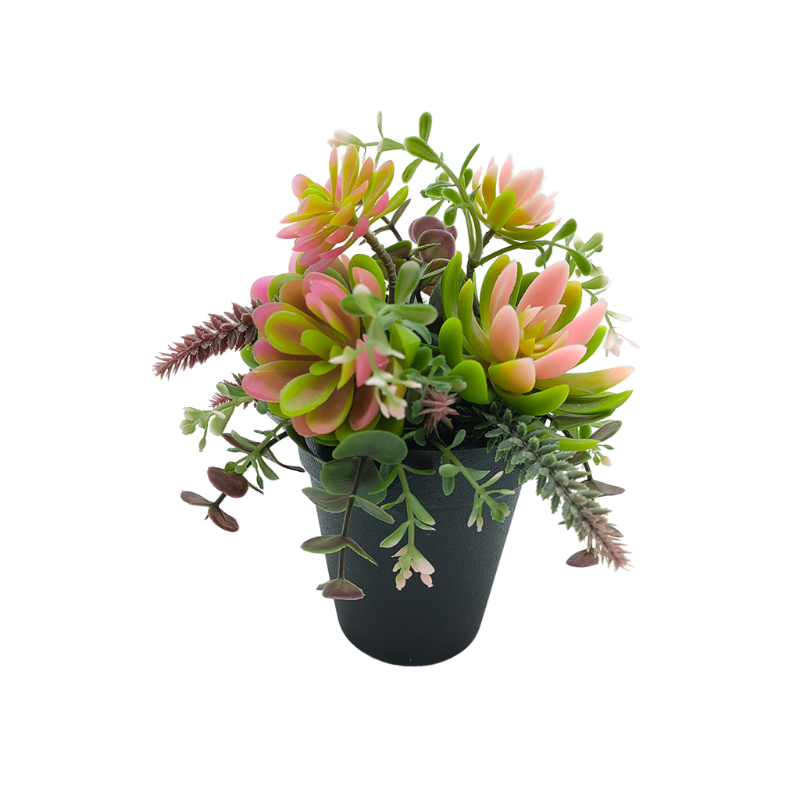 Wholesale Artificial Succulent Plant In Plastic Pot