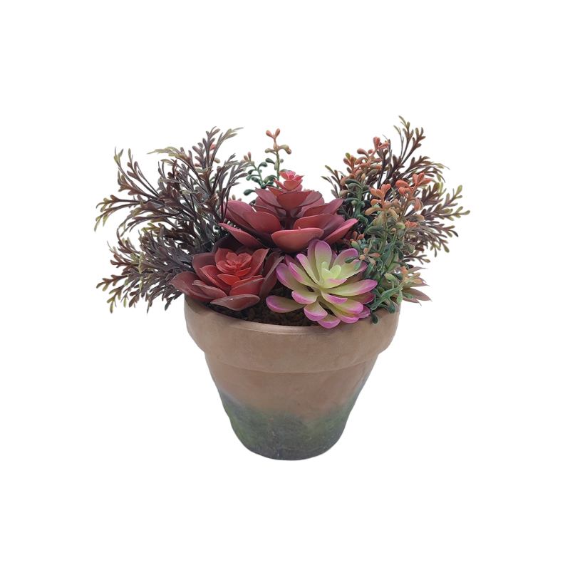 Simulated Green Plants Supplier Succulent Garden In EVA Pot