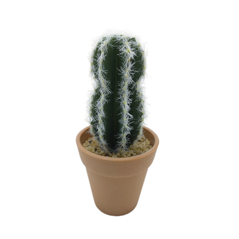 Simulated Cactus Supplier Real Touch Cactus In Plastic Pot