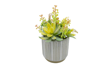 Buying Guide in Choosing the Realistic Artificial Succulents